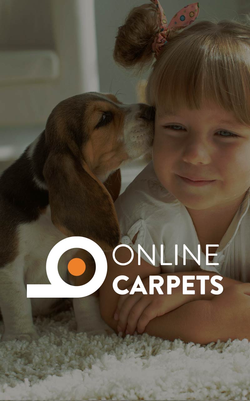 online-carpets-thumb Our Work