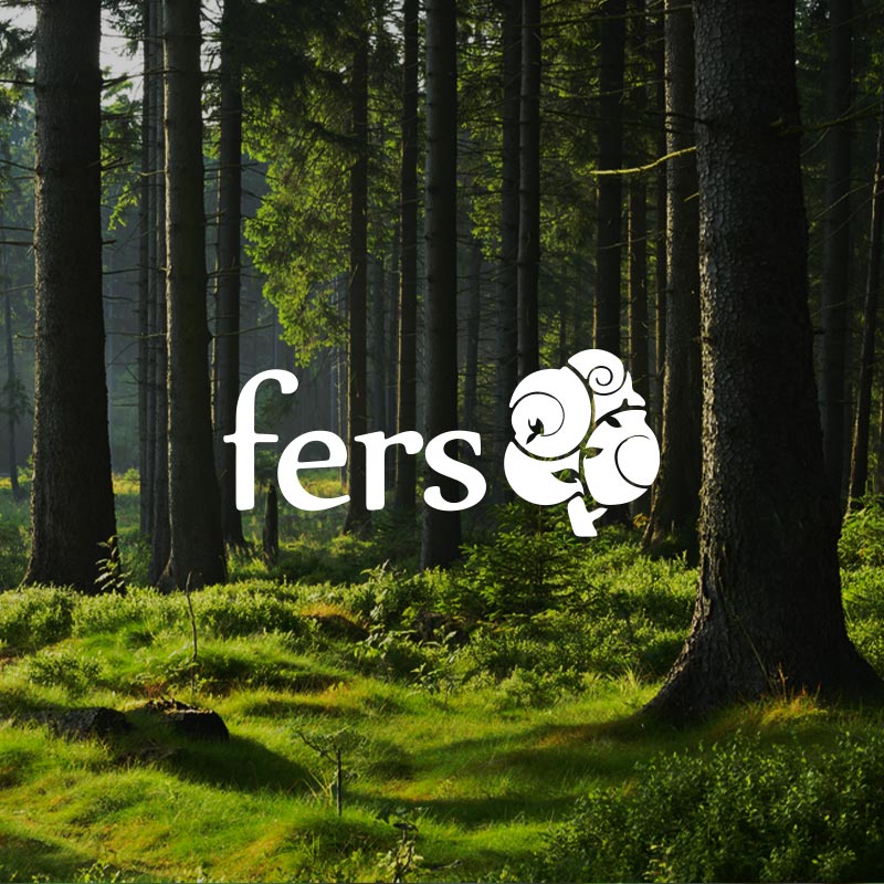 fers-thumb Web Design and Development Cork & Dublin
